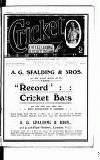 Cricket