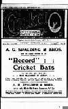 Cricket