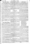 Westminster Gazette Saturday 25 February 1893 Page 3