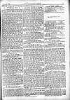 Westminster Gazette Saturday 20 January 1894 Page 5