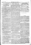 Westminster Gazette Wednesday 14 November 1894 Page 5