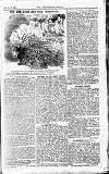 Westminster Gazette Wednesday 18 January 1899 Page 3