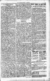 Westminster Gazette Wednesday 01 February 1899 Page 3