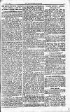 Westminster Gazette Wednesday 01 February 1899 Page 5