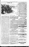 Westminster Gazette Wednesday 17 January 1900 Page 3