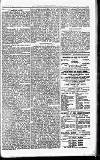 Westminster Gazette Friday 10 August 1900 Page 3