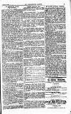 Westminster Gazette Tuesday 06 August 1901 Page 3