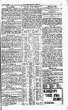 Westminster Gazette Tuesday 06 August 1901 Page 7