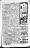 Westminster Gazette Saturday 25 November 1905 Page 13