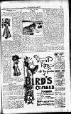 Westminster Gazette Saturday 05 January 1907 Page 13