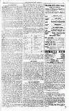 Westminster Gazette Friday 06 January 1911 Page 3