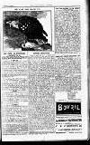 Westminster Gazette Tuesday 08 February 1916 Page 3
