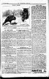 Westminster Gazette Tuesday 20 February 1917 Page 3