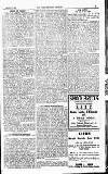 Westminster Gazette Saturday 11 January 1919 Page 3