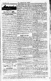 Westminster Gazette Saturday 01 November 1919 Page 7