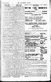 Westminster Gazette Friday 13 February 1920 Page 13