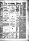 Hamilton Daily Times Tuesday 28 October 1873 Page 1