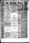 Hamilton Daily Times Thursday 30 October 1873 Page 1