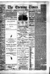 Hamilton Daily Times Saturday 01 November 1873 Page 1