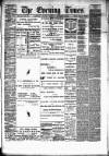 Hamilton Daily Times Thursday 13 November 1873 Page 1