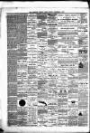 Hamilton Daily Times Monday 17 November 1873 Page 4