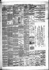 Hamilton Daily Times Tuesday 25 November 1873 Page 3