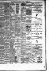 Hamilton Daily Times Thursday 27 November 1873 Page 3