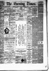 Hamilton Daily Times Friday 28 November 1873 Page 1