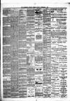 Hamilton Daily Times Monday 01 December 1873 Page 3