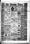 Hamilton Daily Times Friday 12 December 1873 Page 1