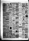 Hamilton Daily Times Friday 12 December 1873 Page 4