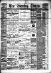 Hamilton Daily Times Tuesday 03 February 1874 Page 1