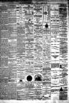 Hamilton Daily Times Tuesday 31 March 1874 Page 4