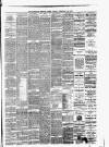 Hamilton Daily Times Friday 22 February 1878 Page 3