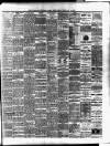 Hamilton Daily Times Wednesday 02 February 1881 Page 3