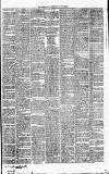 Carmarthen Journal Friday 26 July 1850 Page 3