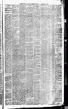Carmarthen Journal Friday 20 April 1860 Page 3