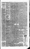 Carmarthen Journal Friday 25 December 1863 Page 5