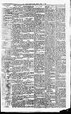 Carmarthen Journal Friday 22 April 1864 Page 3