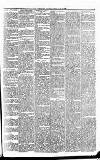 Carmarthen Journal Friday 17 June 1864 Page 3