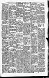 Carmarthen Journal Friday 02 June 1865 Page 3