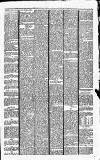 Carmarthen Journal Friday 27 October 1865 Page 3