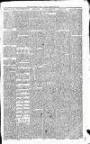 Carmarthen Journal Friday 29 December 1865 Page 3