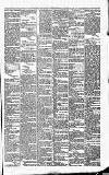 Carmarthen Journal Friday 08 February 1867 Page 7
