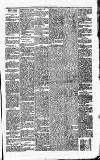 Carmarthen Journal Friday 15 February 1867 Page 3