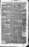 Carmarthen Journal Friday 17 May 1867 Page 3
