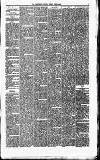 Carmarthen Journal Friday 14 June 1867 Page 3