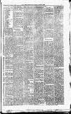 Carmarthen Journal Friday 03 January 1868 Page 3