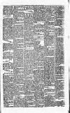 Carmarthen Journal Friday 30 June 1871 Page 3