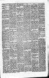 Carmarthen Journal Friday 07 July 1871 Page 3
